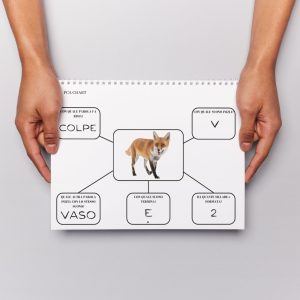 PCA Phonological Components Analysis · Afasia · Diario di una Logopedista